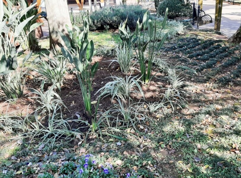 praca-xv-de-novembro-ainda-mais-bela