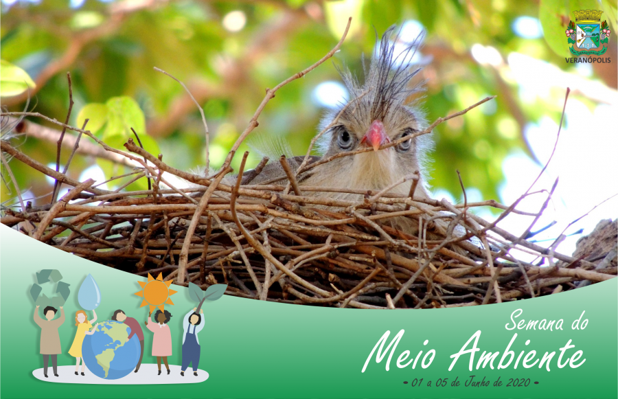 preservacao-animais-e-o-dia-mundial-do-meio-ambiente