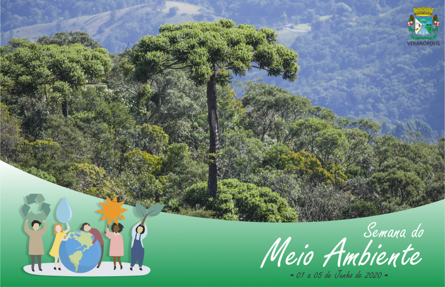 arvores-nativas-x-exoticas-qual-devo-plantar