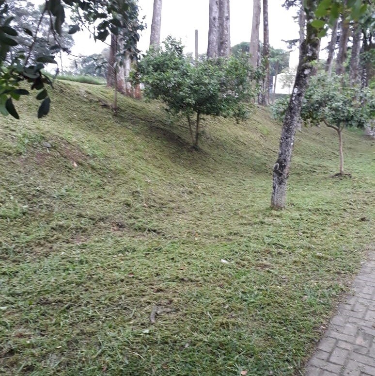 limpeza-nas-ruas-centrais