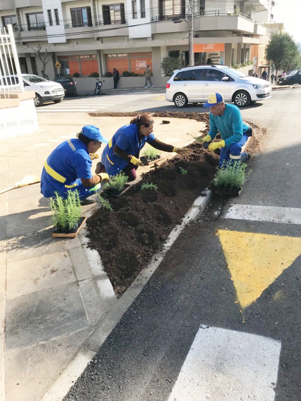 plantio-de-flores-na-osvaldo-aranha
