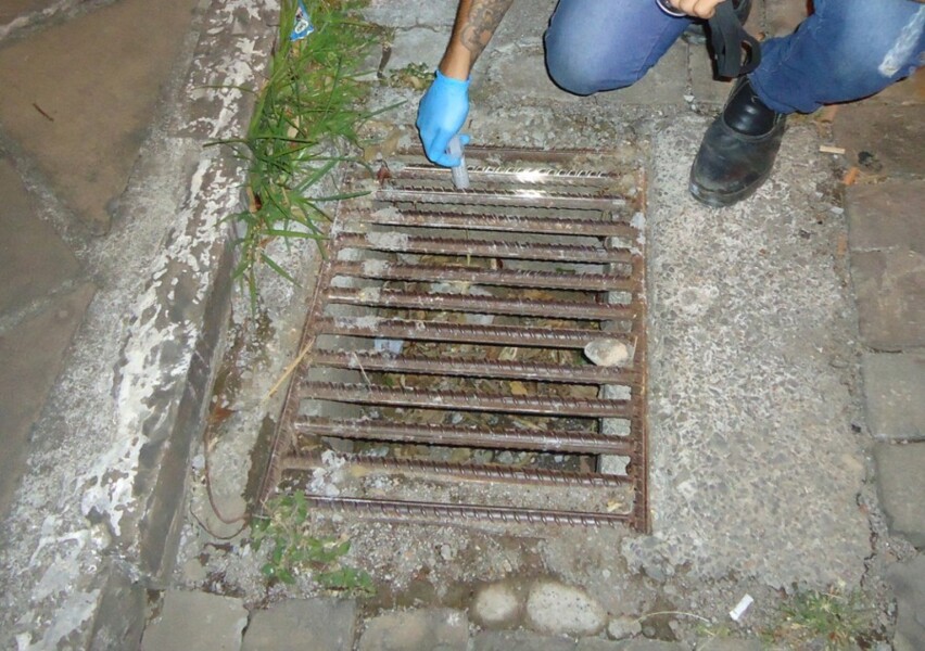 controle-de-pragas-em-veranopolis