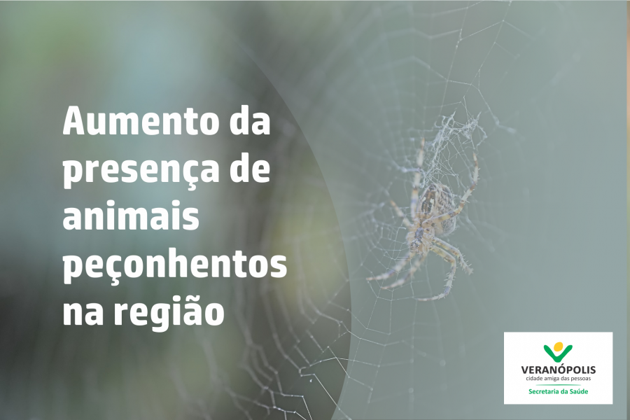 aumento-da-presenca-de-animais-peconhentos-na-regiao