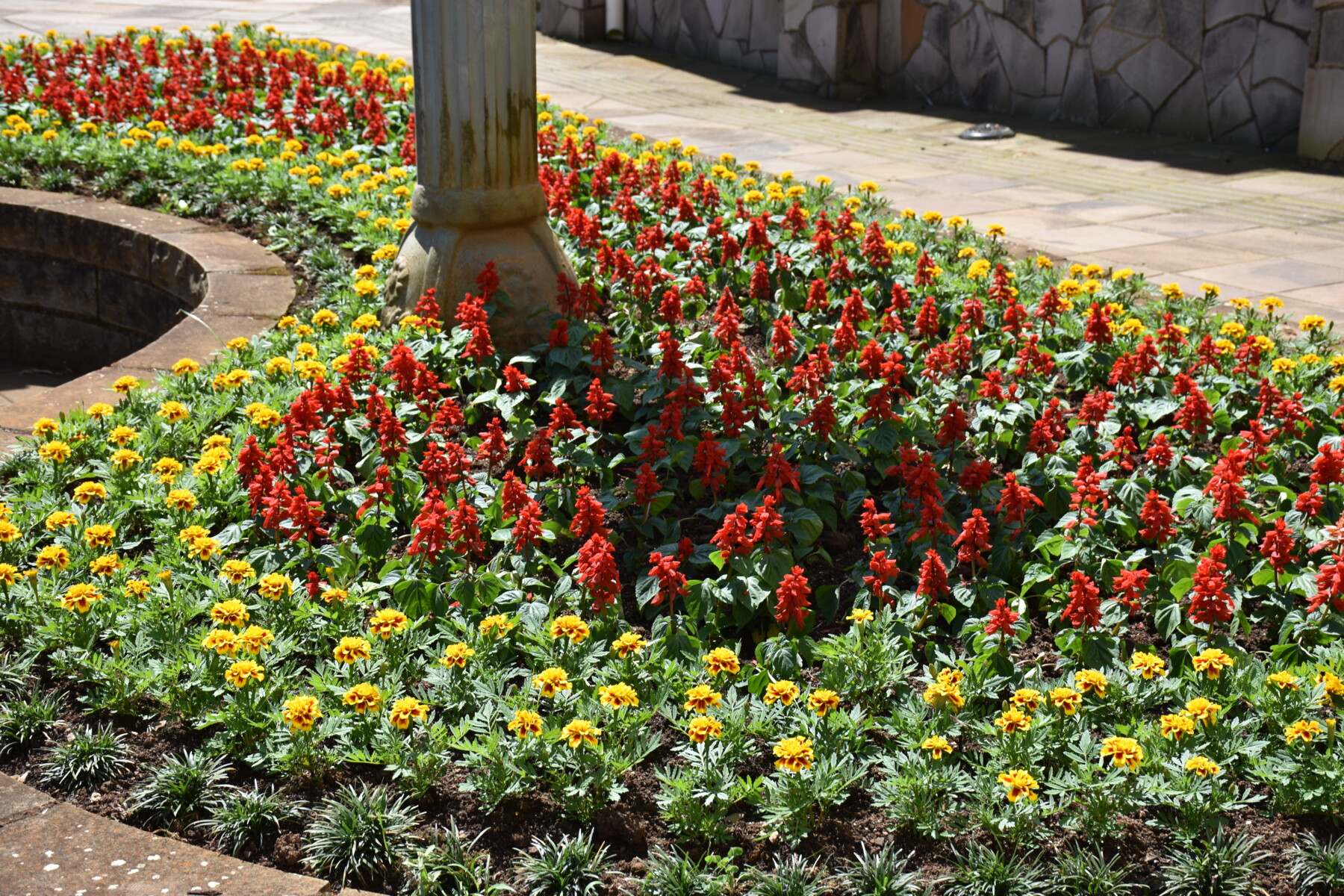 DSC_0065.JPG