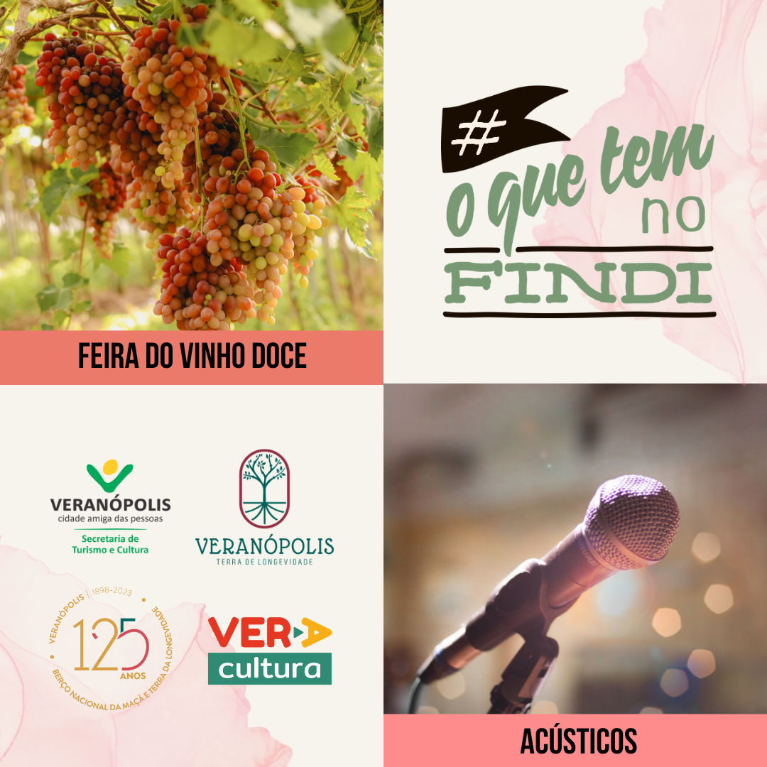 o-que-tem-no-findi-3