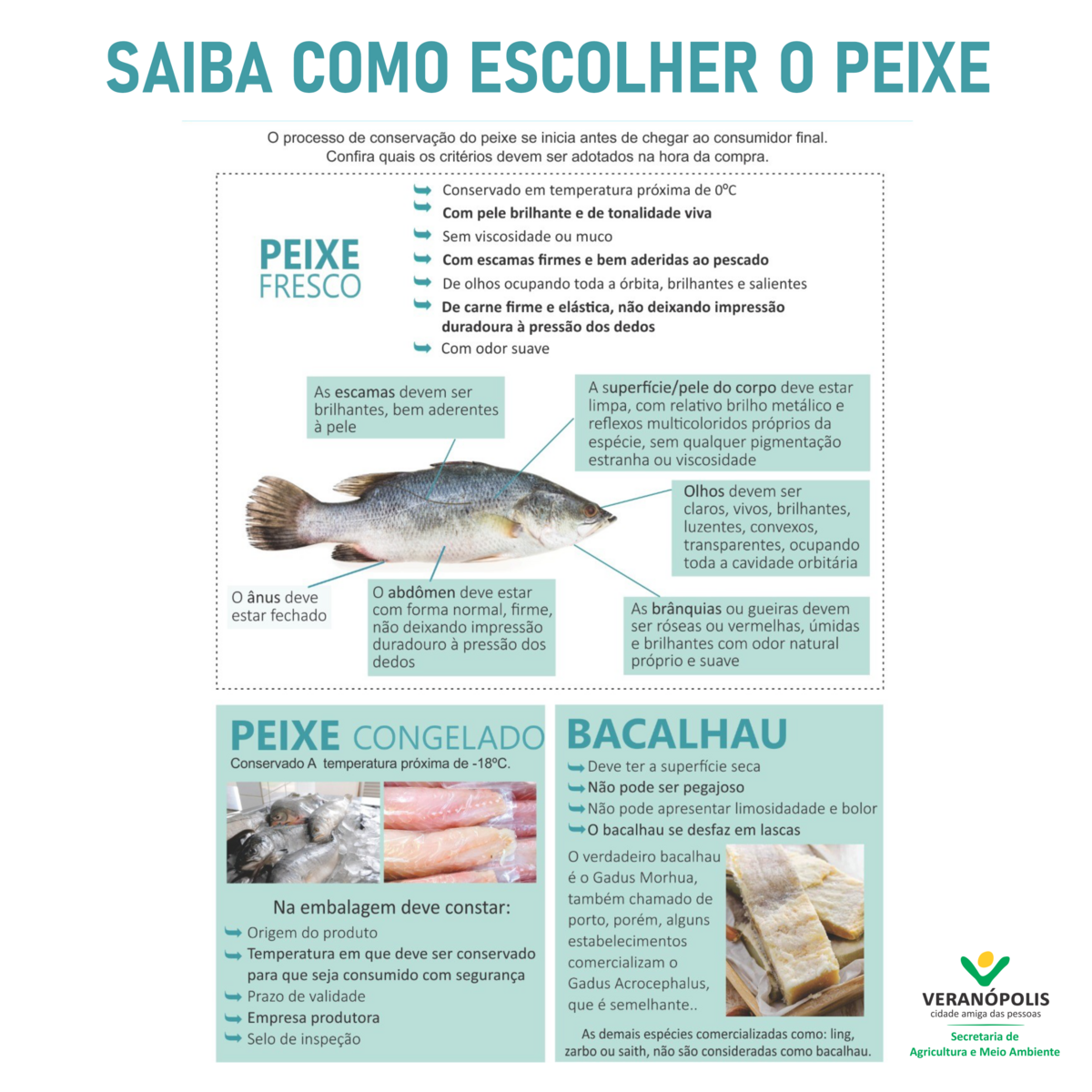 dicas-de-qualidade-e-seguranca-na-compra-do-pescado