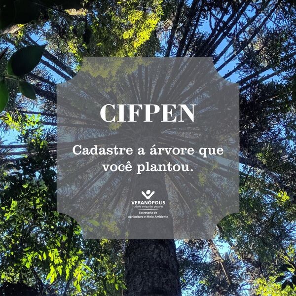 cifpen-certificado-de-identificacao-de-floresta-plantada