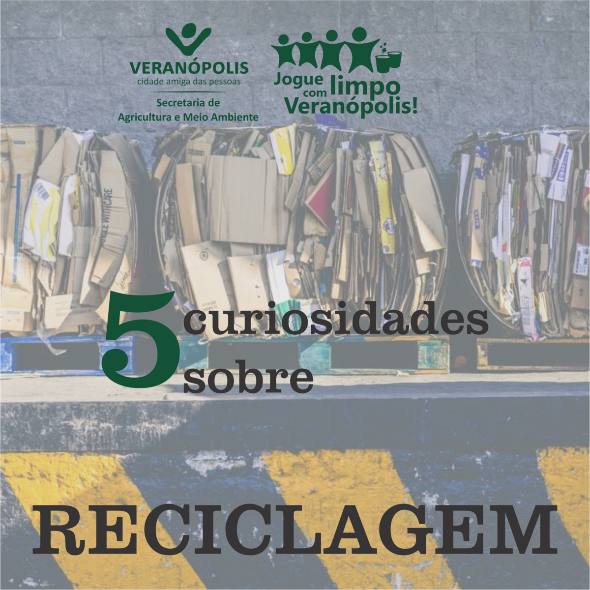 curiosidades 1.png