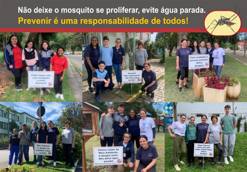 juntos-somos-mais-fortes-no-combate-ao-mosquito-da-dengue