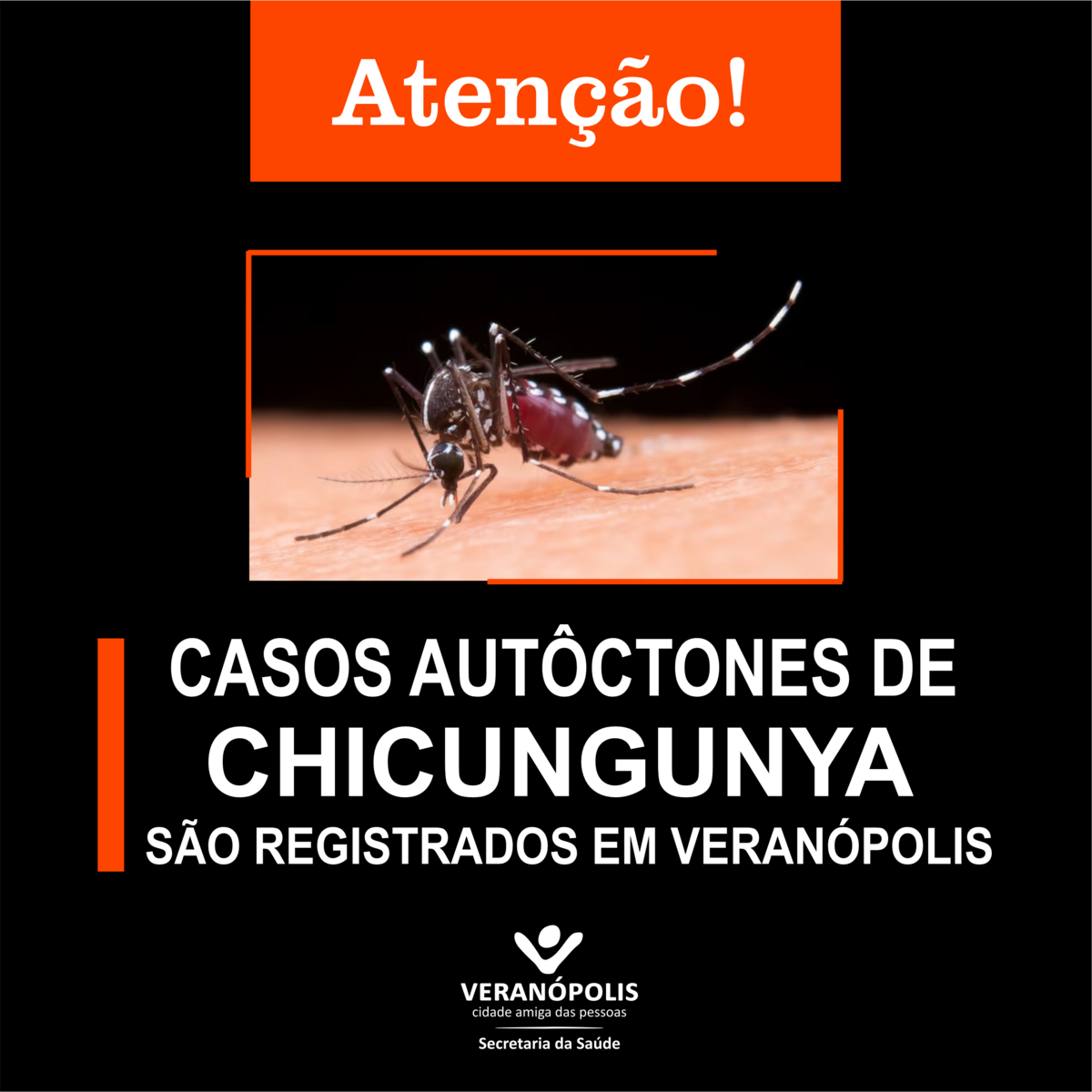 alerta-casos-de-chikungunya-em-veranopolis