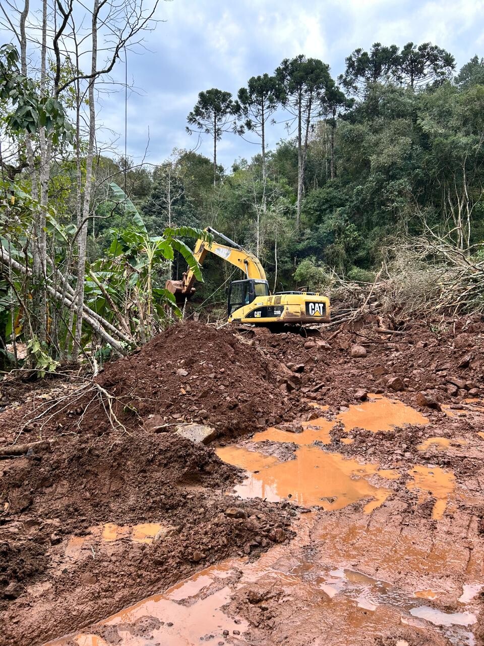 Navegantes 01.jpg