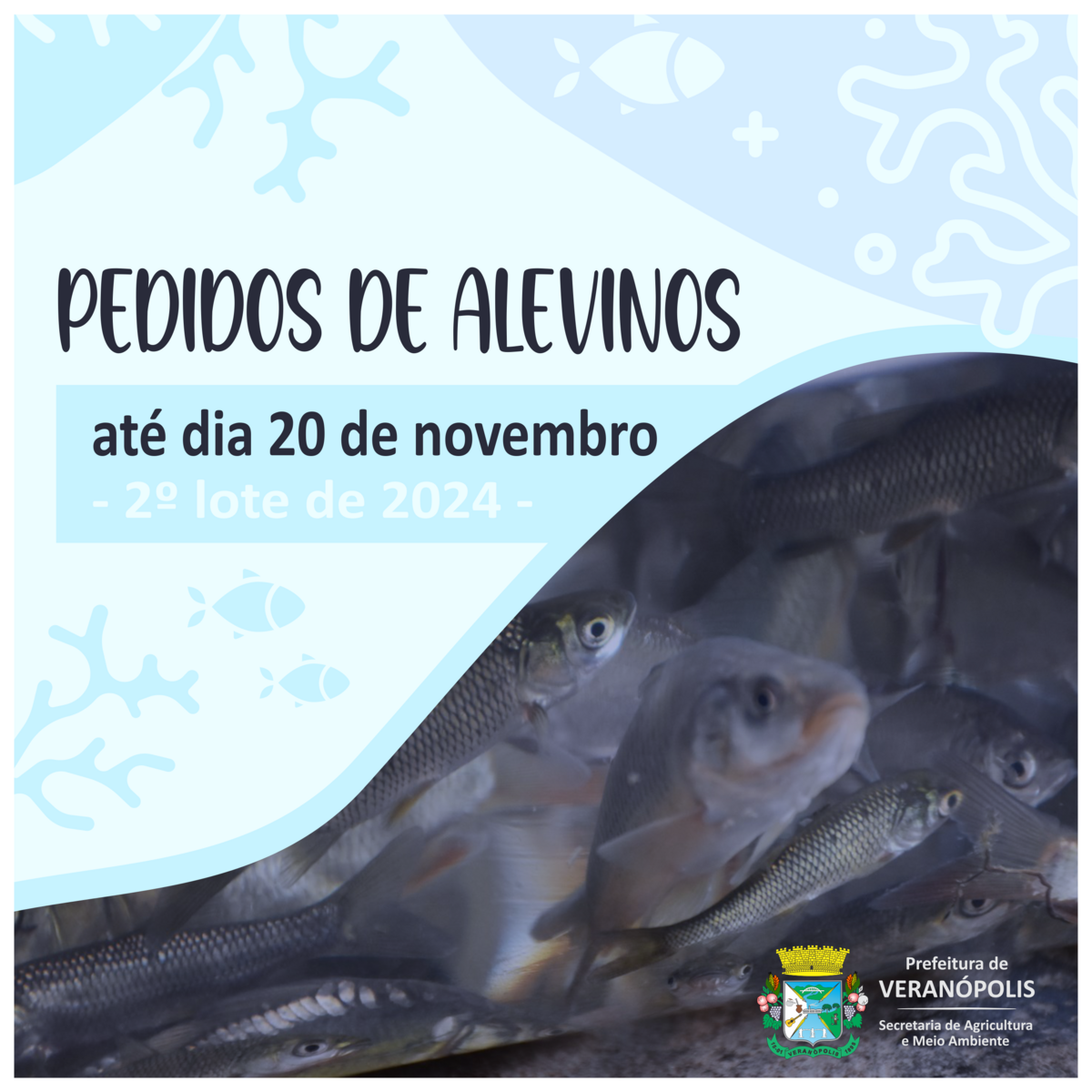pedido-de-alevinos-2-lote-2024