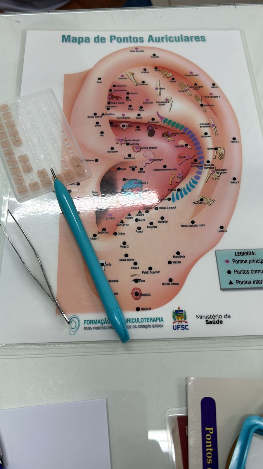 Imagem do WhatsApp de 2024-11-19 à(s) 11.07.48_2b737cfd.jpg