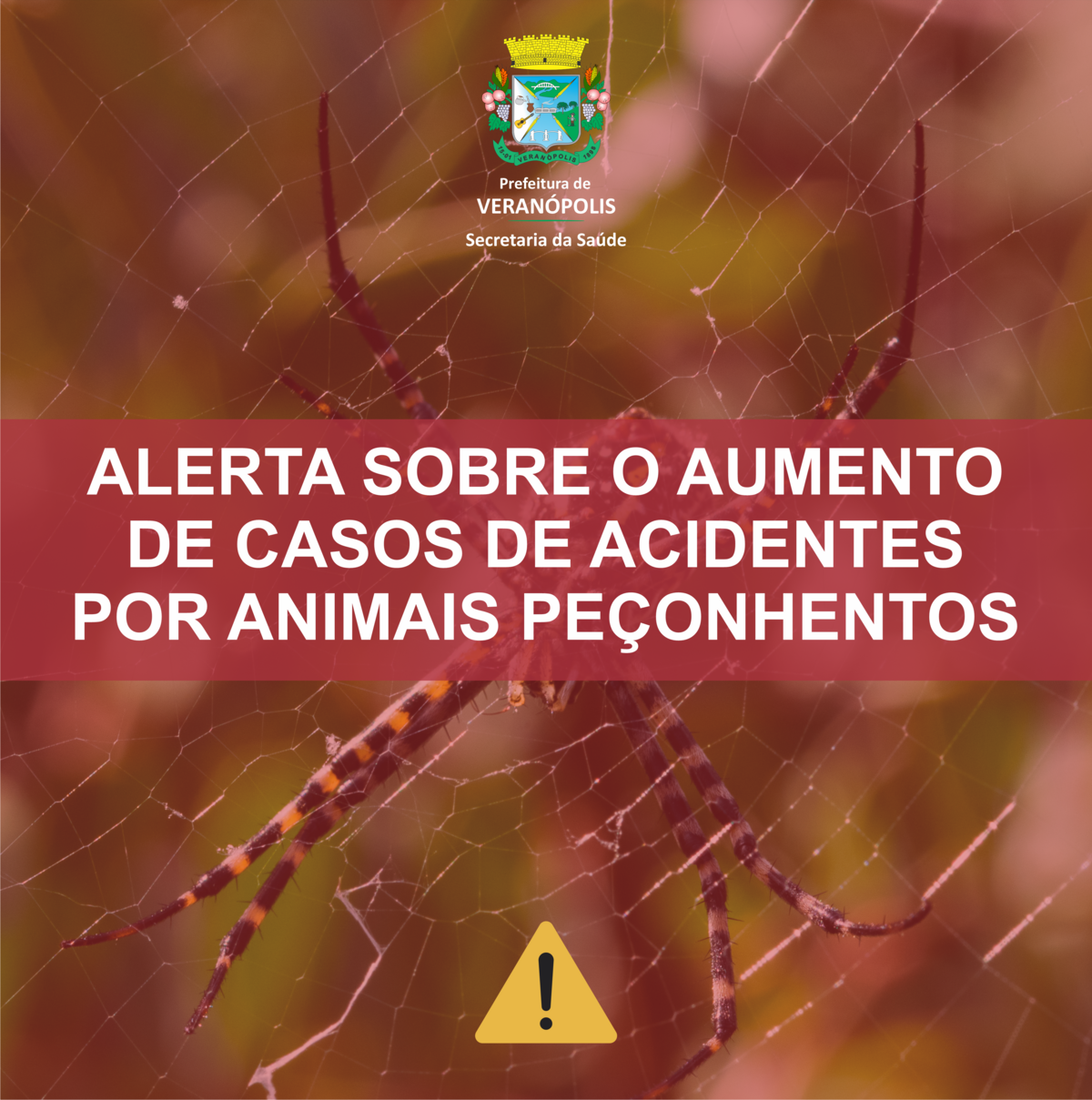 vigilancia-epidemiologica-alerta-sobre-o-aumento-de-casos-de-acidentes-por-animais-peconhentos