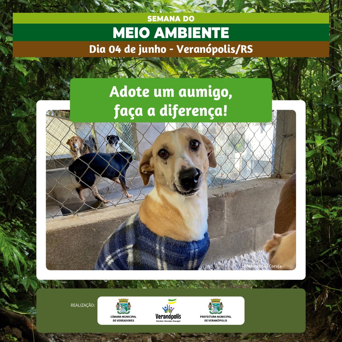 prefeitura-de-veranopolis-promove-a-acao-especial-adote-um-amigo-faca-a-diferenca