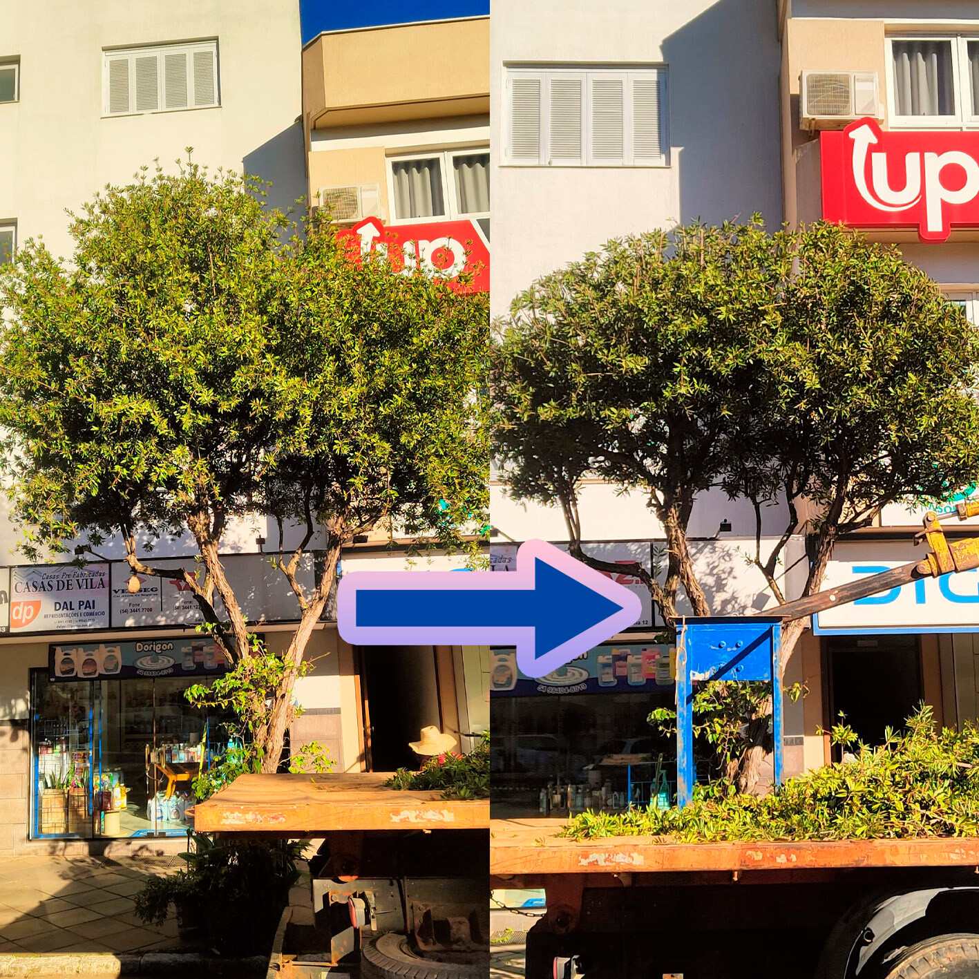 poda1.jpg