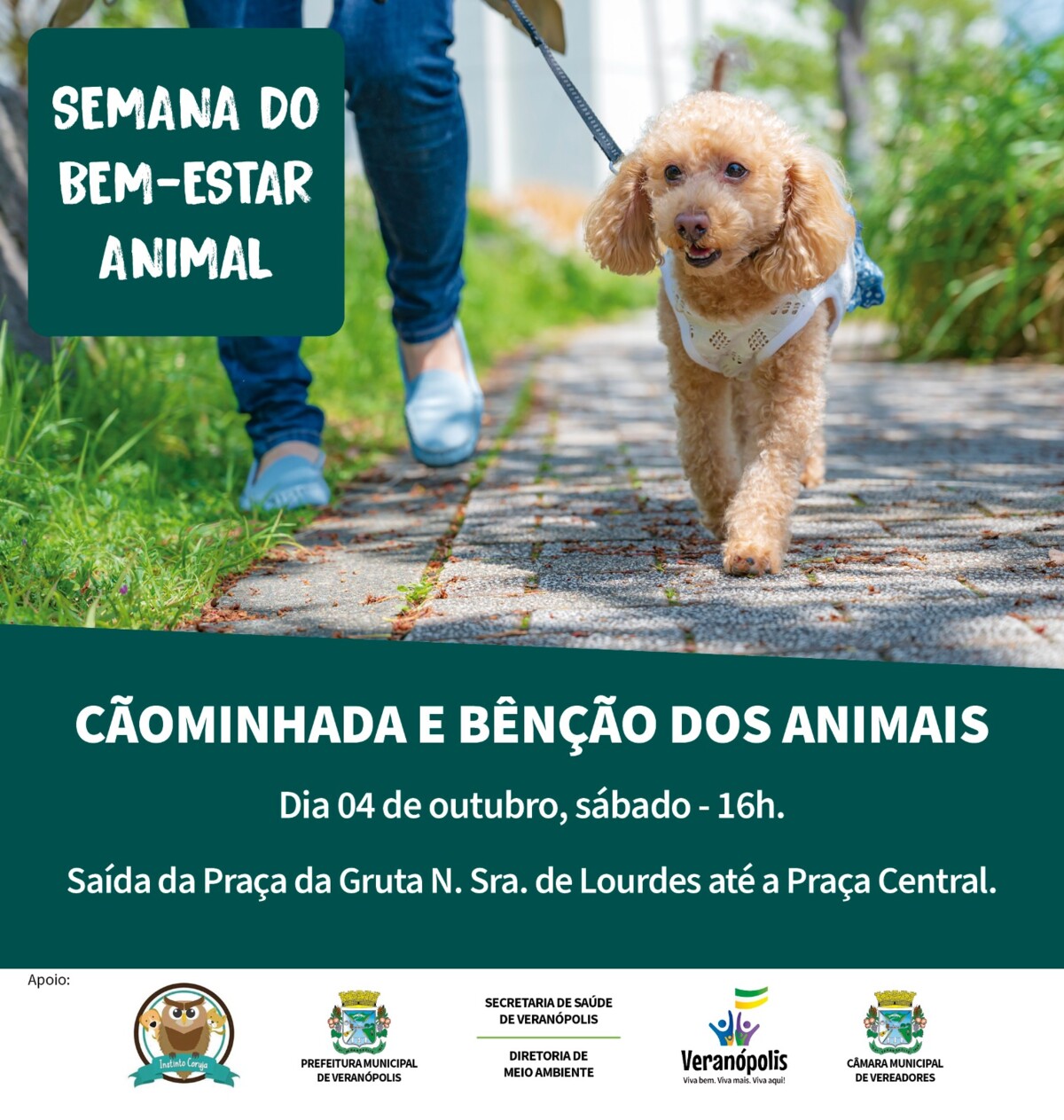 semana-do-bem-estar-animal-promove-caominhada-neste-sabado-em-veranopolis