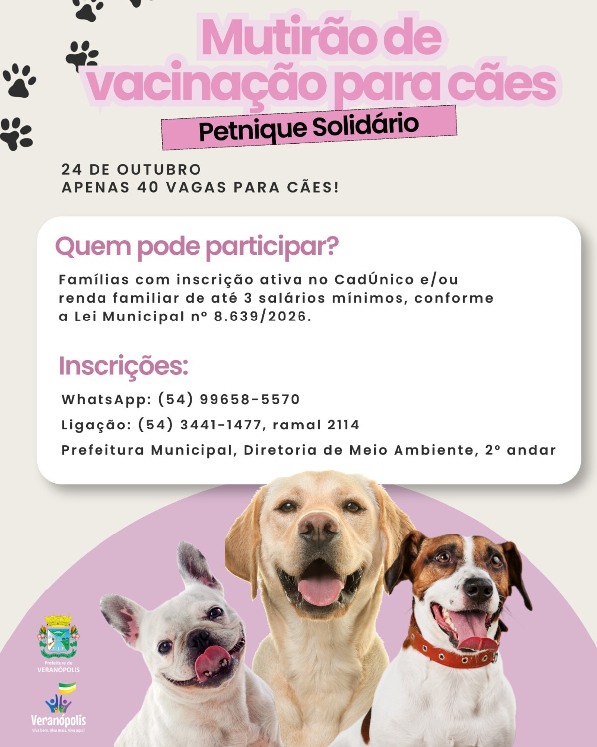 mutirao-de-vacinacao-antirrabica-e-administracao-de-antiparasitarios-para-caes-sera-realizado-durante-o-petnique-solidario