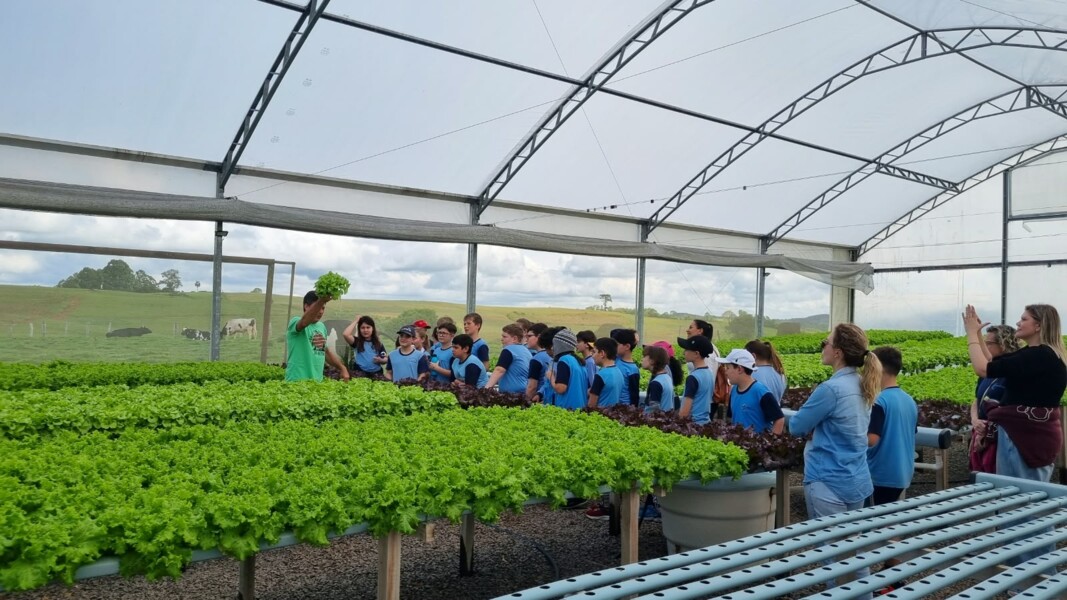 na-semana-da-alimentacao-estudantes-conhecem-sobre-origem-de-alimentos