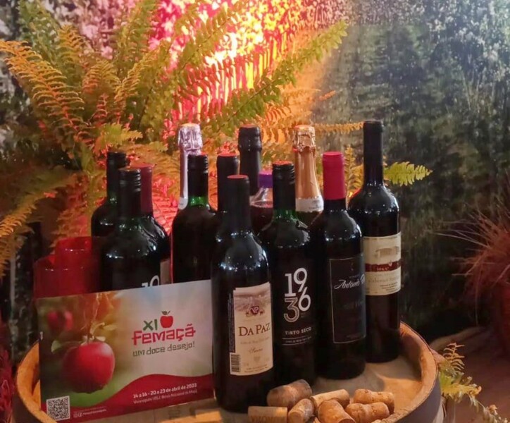 veranopolis-se-faz-presente-na-expointer