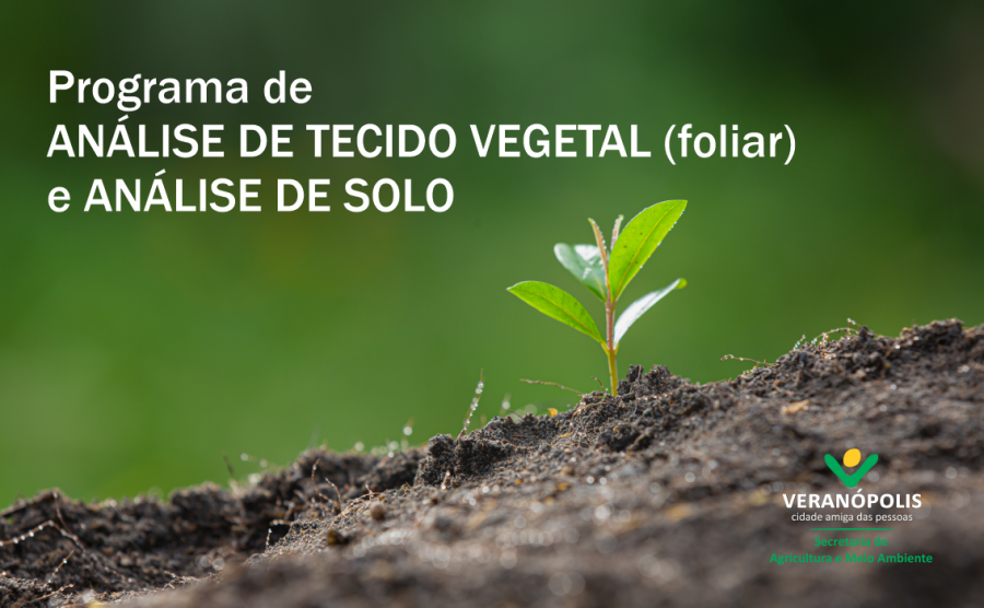 programa-de-analise-de-solo-e-foliar