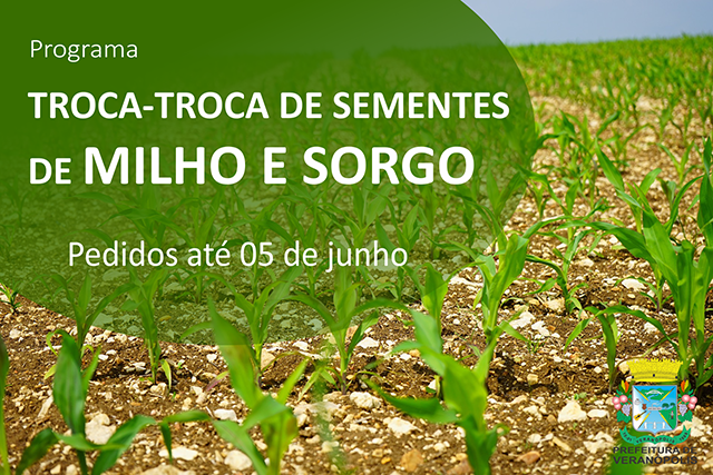 programa-troca-troca-de-sementes-de-milho-e-sorgo