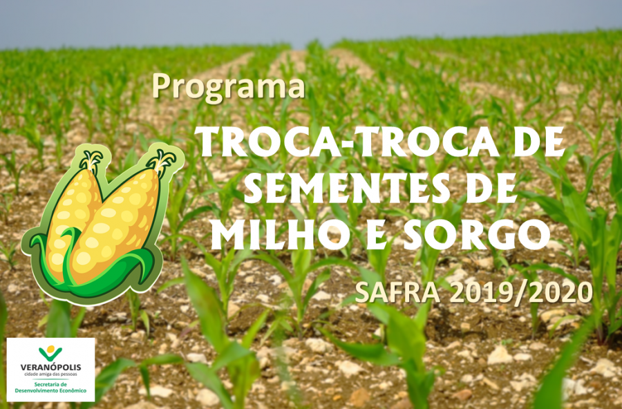 programa-troca-troca-sementes-de-milho-e-sorgo-safra-20192020