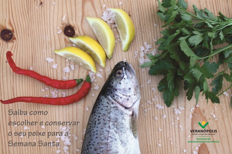 saiba-como-escolher-e-conservar-seu-peixe