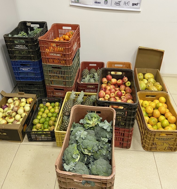 entrega-de-frutas-e-legumes-contaram-com-o-apoio-dos-hortifrutigranjeiros-de-veranopolis